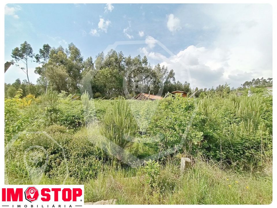 Terra a Vouzela, Viseu - foto 2