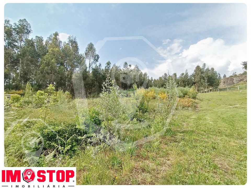 Terra a Vouzela, Viseu - foto 4