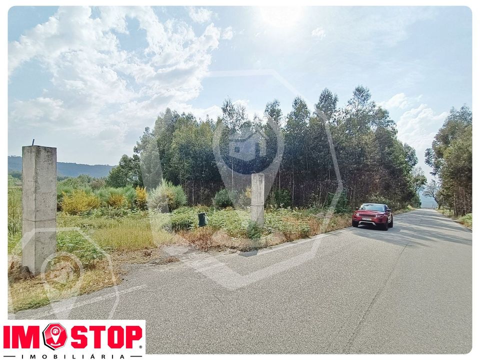 Terra a Vouzela, Viseu - foto 5