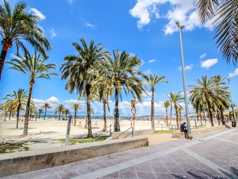 Byhus i Palma De Mallorca, Mallorca - foto 1