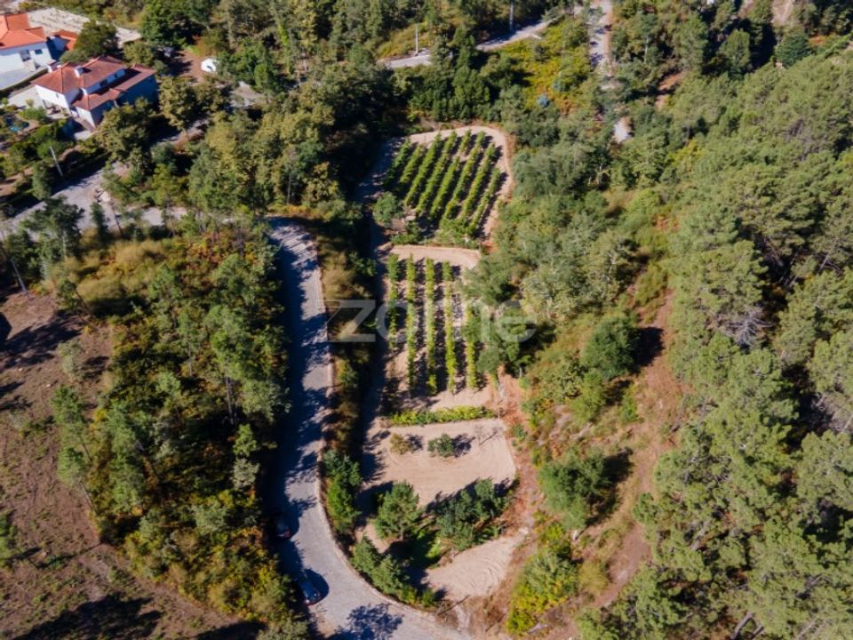Helårsgrund i Amarante, Porto - foto 4