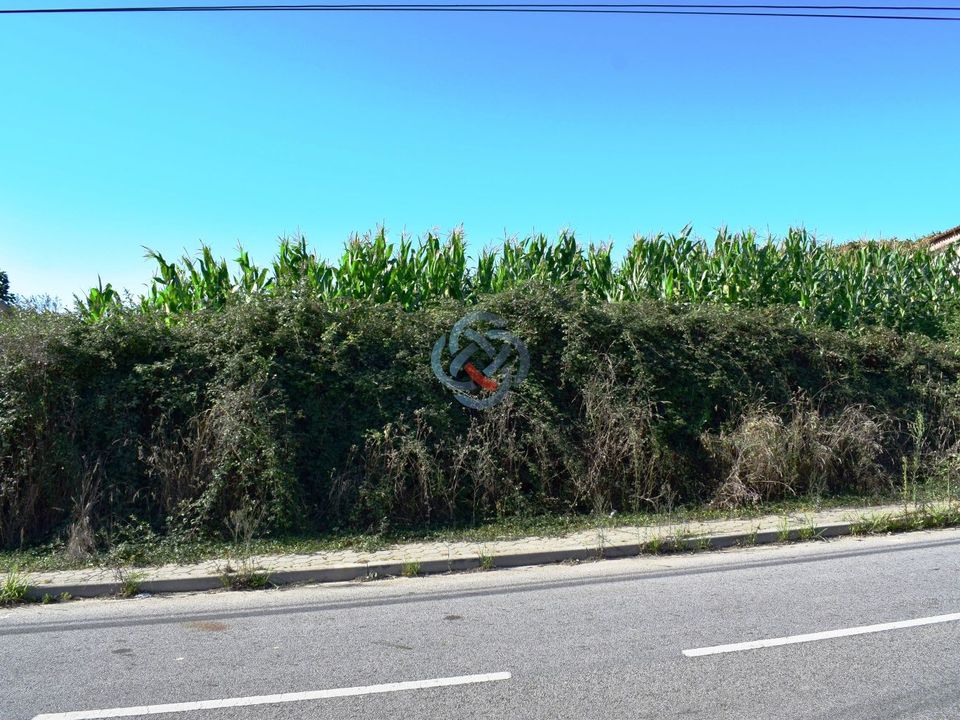 Helårsgrund i Ovar, Aveiro - foto 4