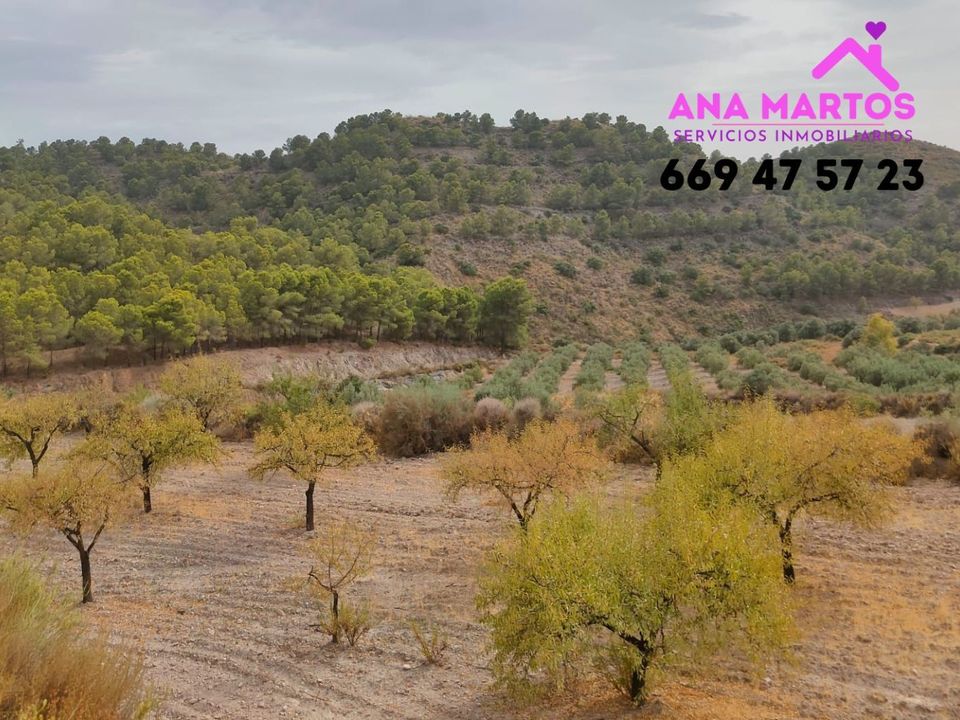 Landejendom i Aguilas, Murcia - foto 2