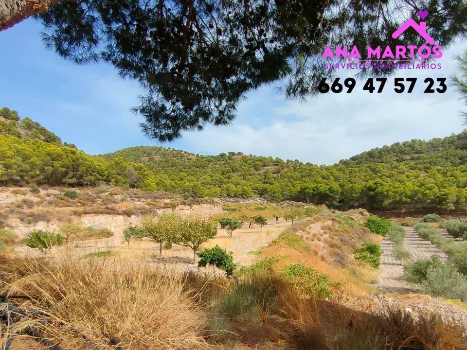 Landejendom i Aguilas, Murcia - foto 3