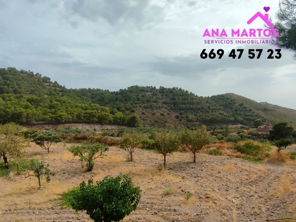 Landejendom i Aguilas, Murcia - foto 4