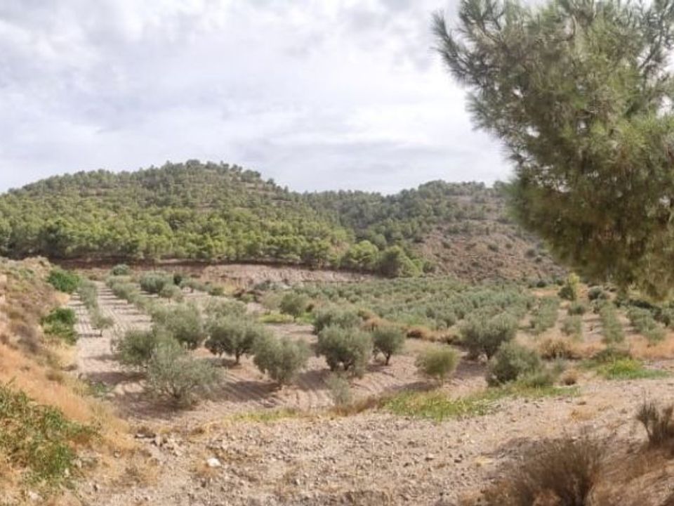 Landejendom i Aguilas, Murcia - foto 5