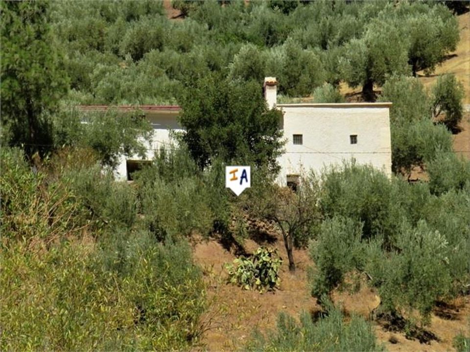 Cortijo i Fuensanta De Martos, Jaen - foto 1