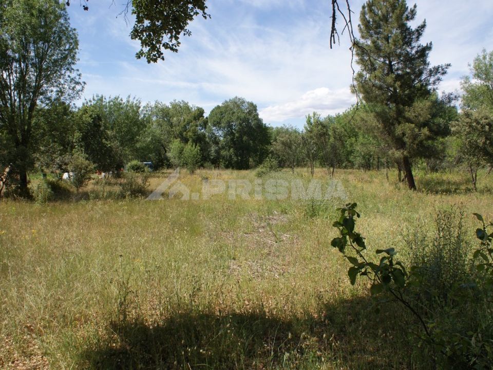 Helårsgrund i Penamacor, Castelo Branco - foto 3