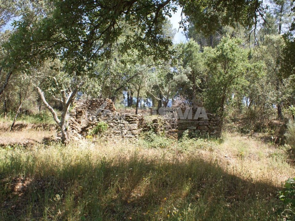 Helårsgrund i Penamacor, Castelo Branco - foto 4