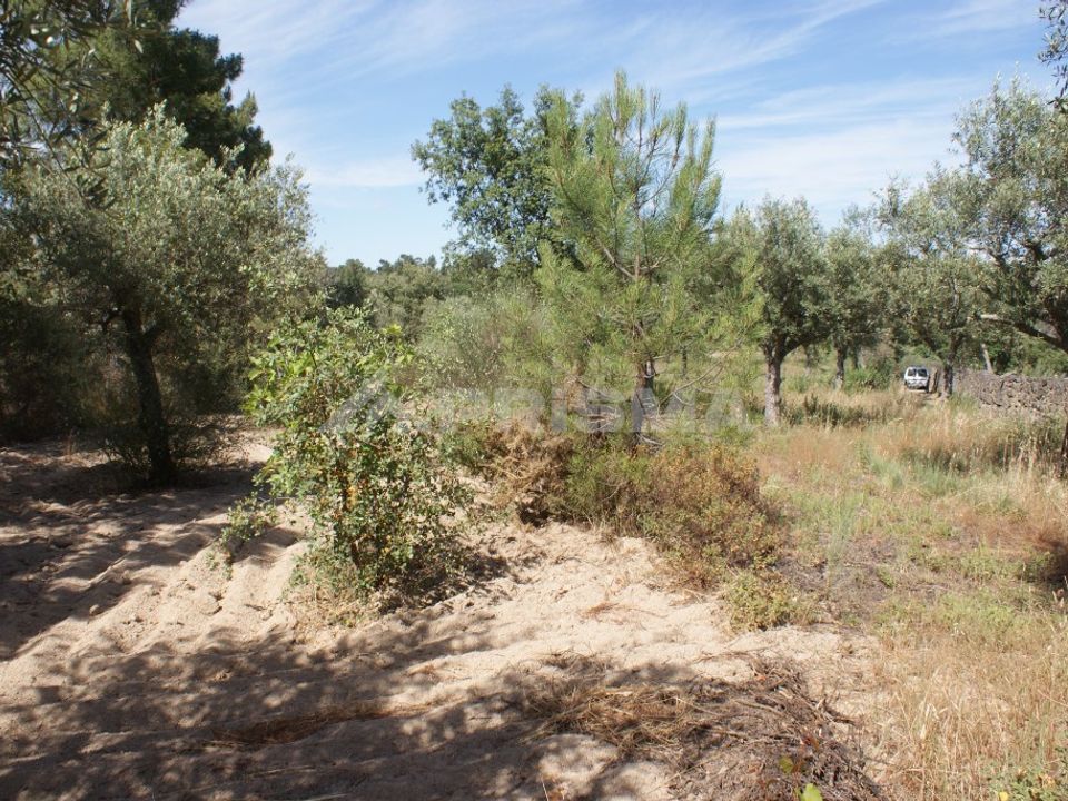 Helårsgrund i Penamacor, Castelo Branco - foto 2