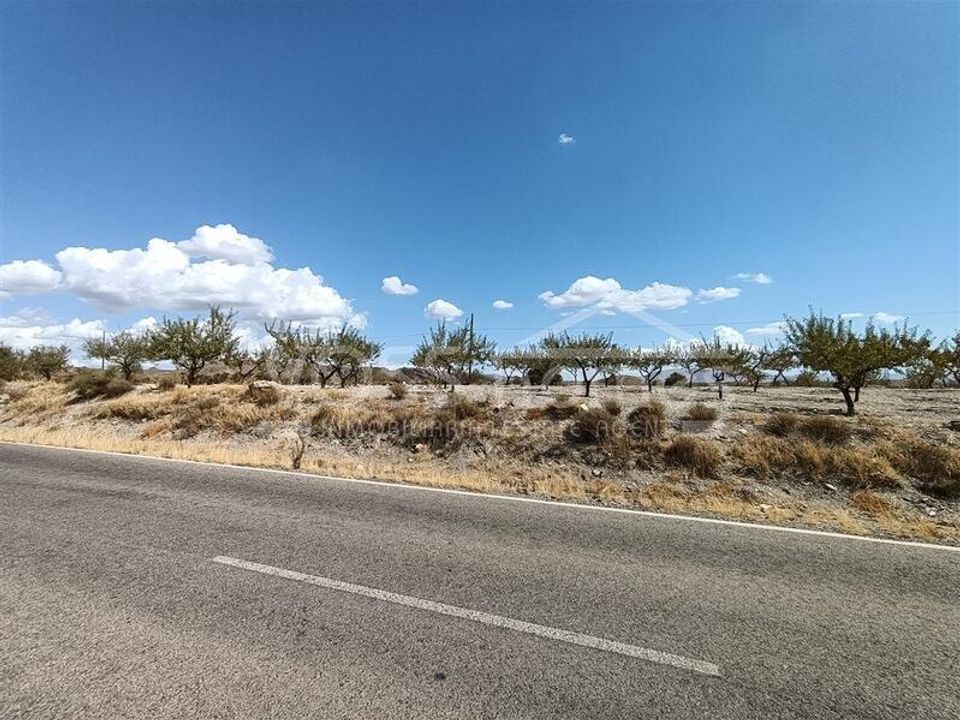 Helårsgrund i Huercal-Overa, Almeria - foto 4