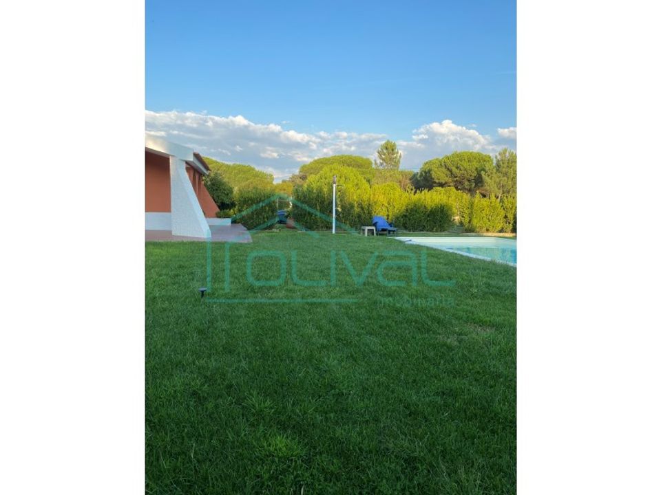 Farm i Samora Correia, Santarem - foto 3
