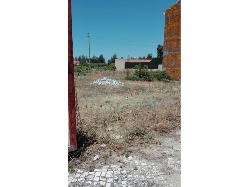 Helårsgrund i Benavente, Santarem - foto 1