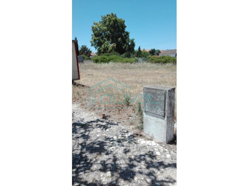 Helårsgrund i Benavente, Santarem - foto 2