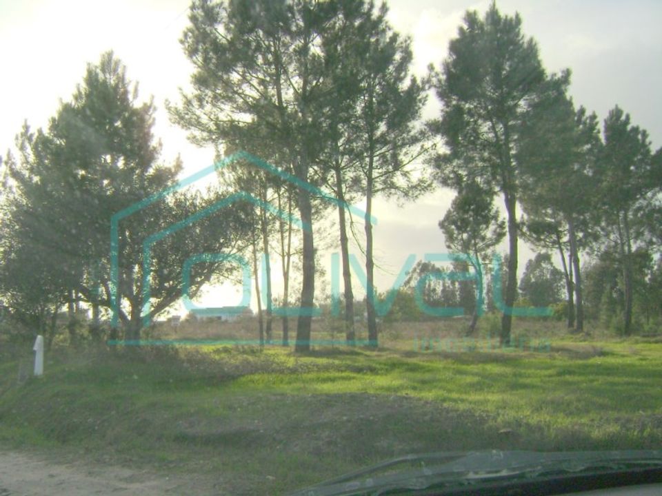 Helårsgrund i Gloria do Ribatejo, Santarem - foto 1