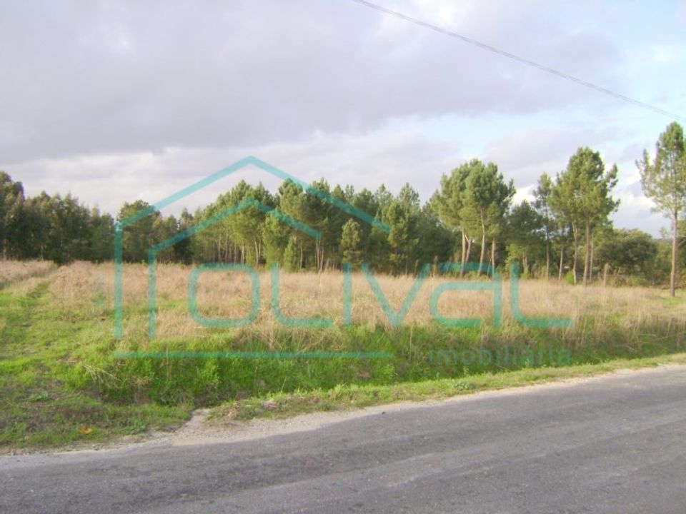 Helårsgrund i Gloria do Ribatejo, Santarem - foto 4