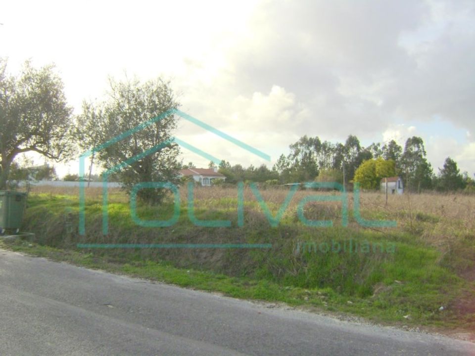 Helårsgrund i Gloria do Ribatejo, Santarem - foto 5