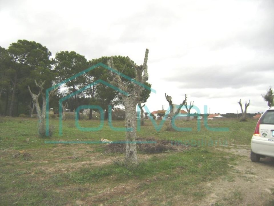 Helårsgrund i Coruche, Santarem - foto 2