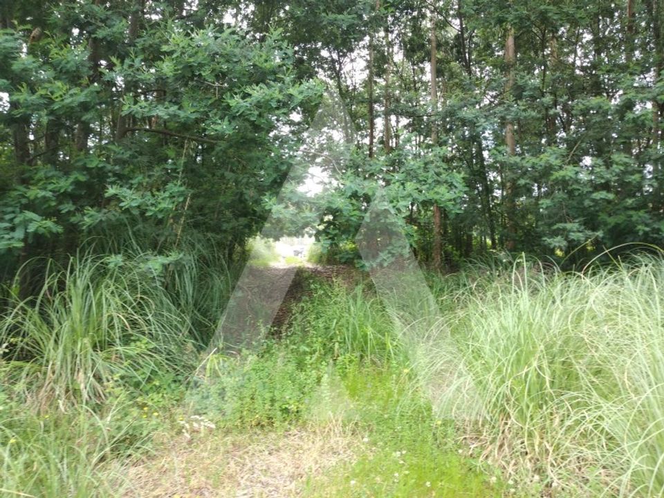 Helårsgrund i Quinta do Loureiro, Aveiro - foto 2