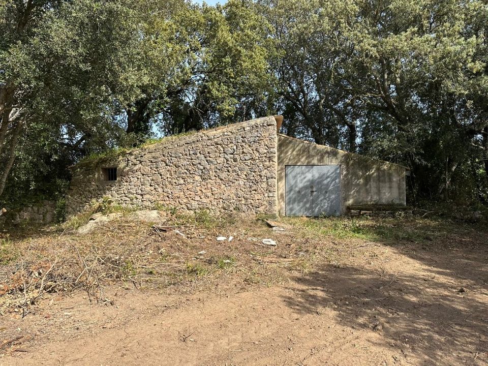 Helårsgrund i Arta, Mallorca - foto 1