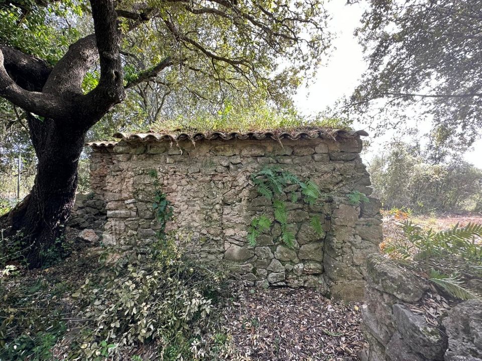 Helårsgrund i Arta, Mallorca - foto 2