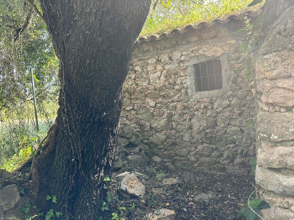 Helårsgrund i Arta, Mallorca - foto 3