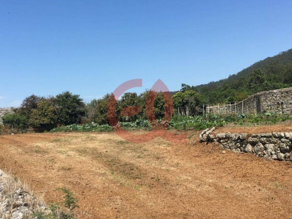 Farm i Viana do Castelo, Viana do Castelo - foto 4