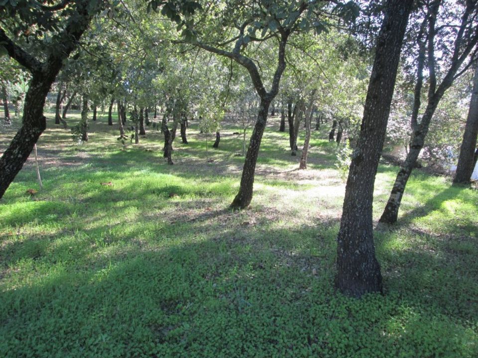Helårsgrund i Ourem, Santarem - foto 3