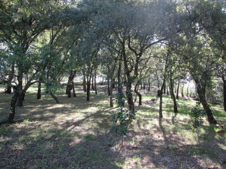 Helårsgrund i Ourem, Santarem - foto 5