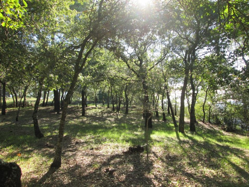 Helårsgrund i Ourem, Santarem - foto 1
