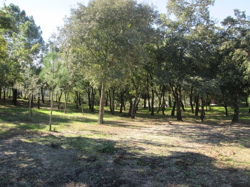 Helårsgrund i Ourem, Santarem - foto 2