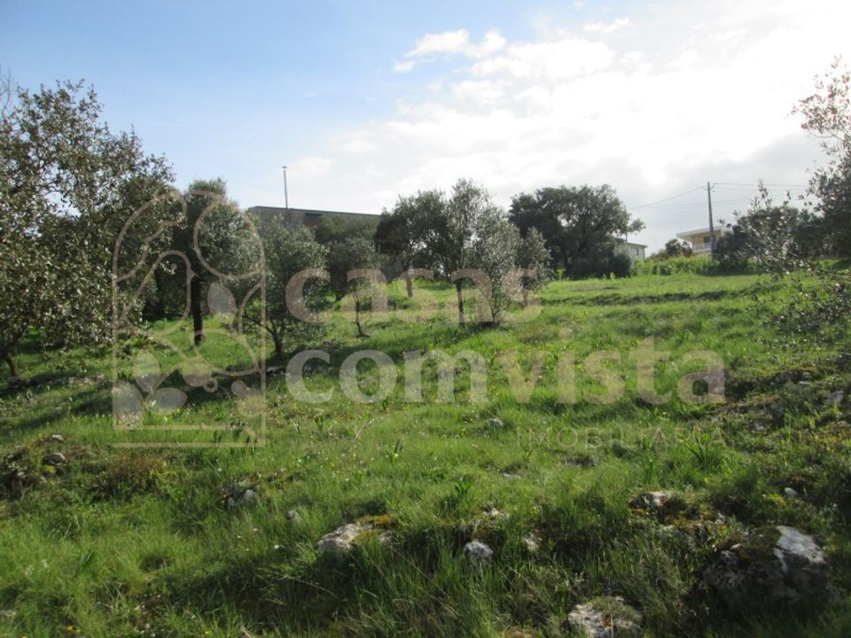 Helårsgrund i Ourem, Santarem - foto 5