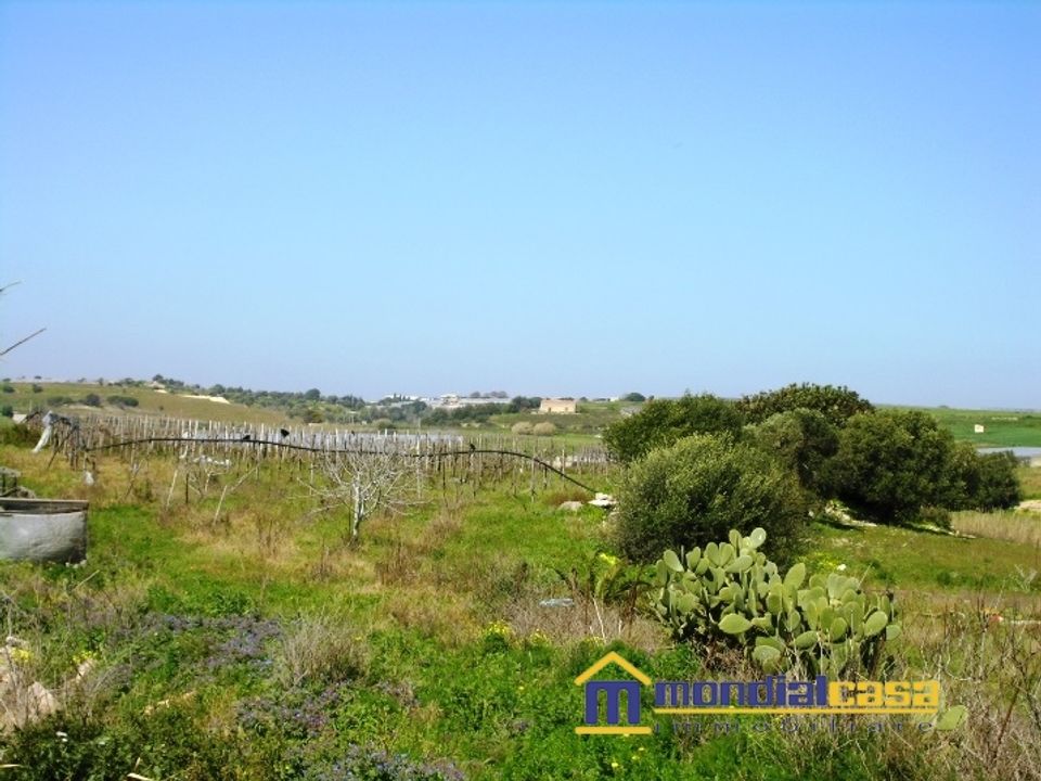Terra a Pachino, Siracusa - foto 2