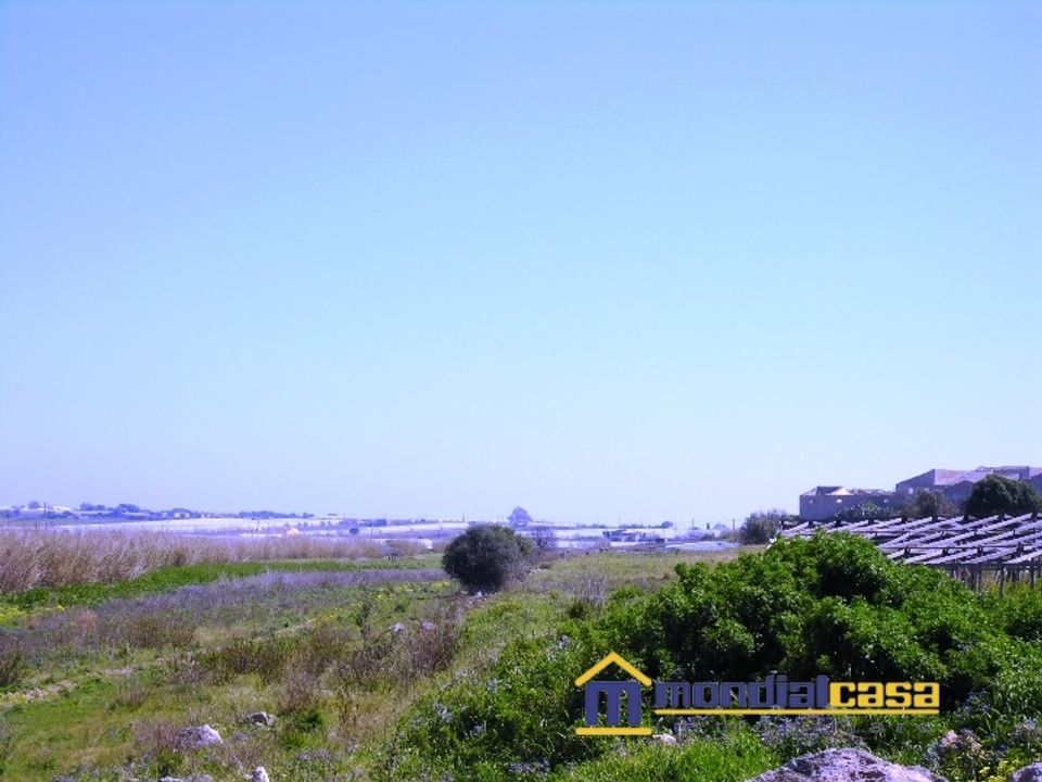 Terra a Pachino, Siracusa - foto 3