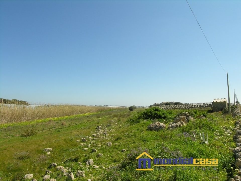 Terra a Pachino, Siracusa - foto 4