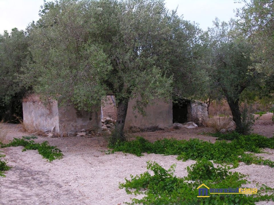 Helårsgrund i Noto, Siracusa - foto 1