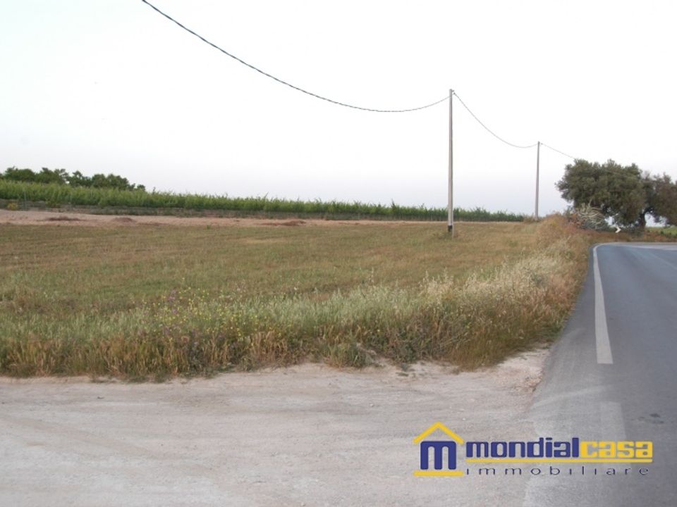 Helårsgrund i Pachino, Siracusa - foto 2