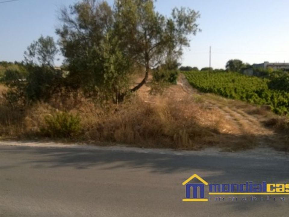 Helårsgrund i Pachino, Siracusa - foto 2