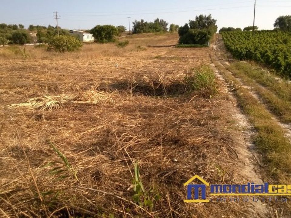 Helårsgrund i Pachino, Siracusa - foto 3