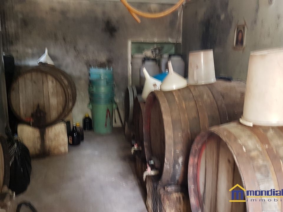 Helårsgrund i Noto, Siracusa - foto 5