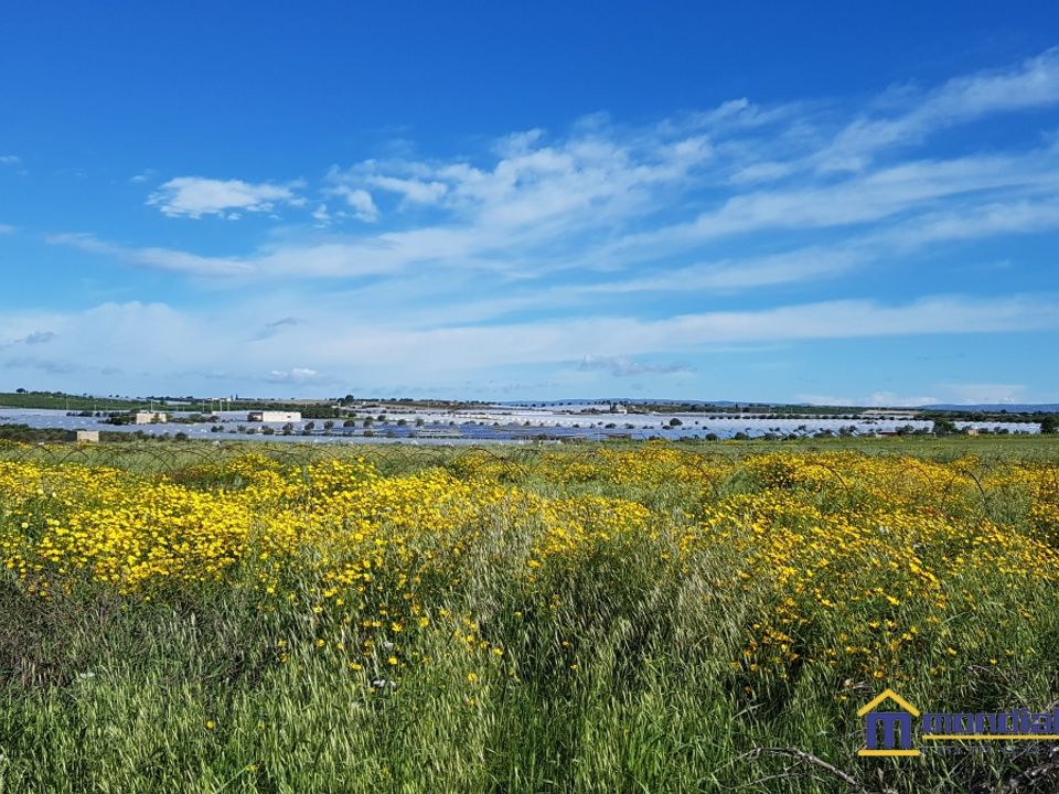 Helårsgrund i Noto, Siracusa - foto 1