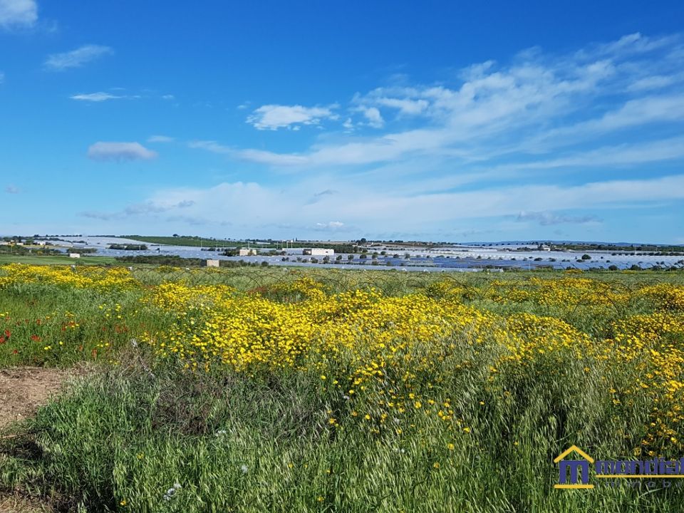 Helårsgrund i Noto, Siracusa - foto 2