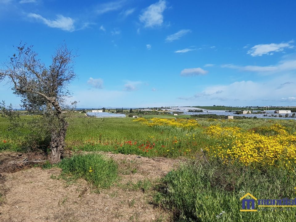Helårsgrund i Noto, Siracusa - foto 3