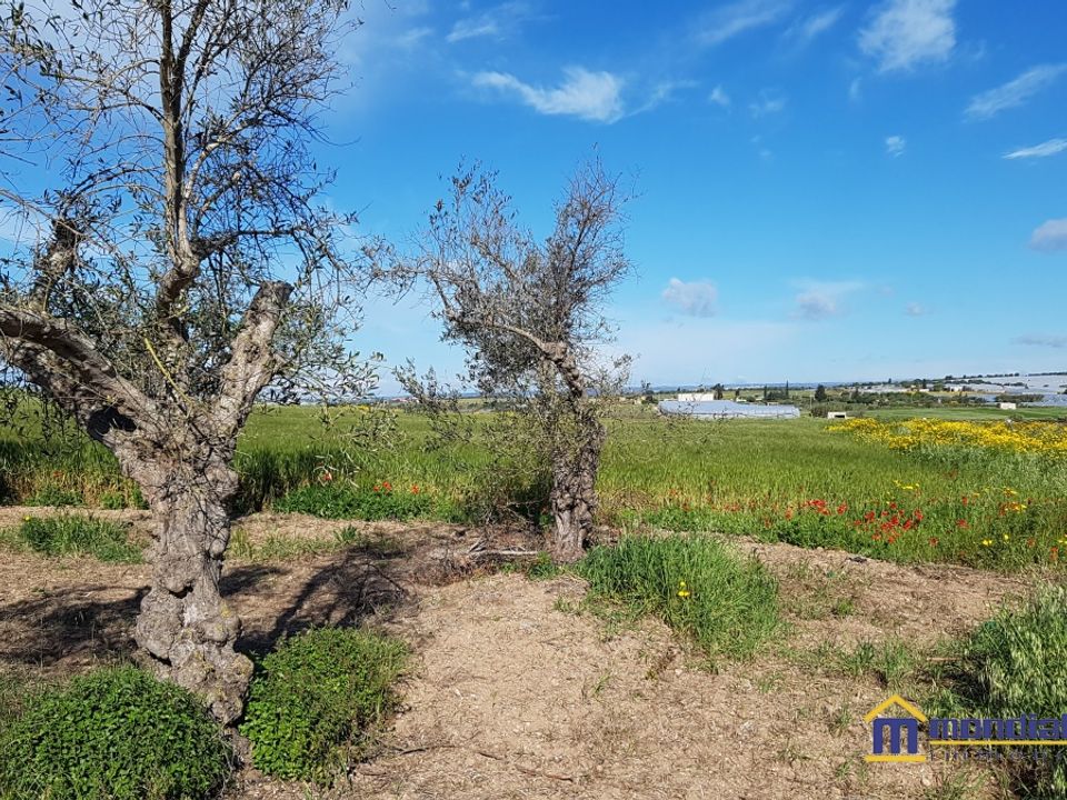 Helårsgrund i Noto, Siracusa - foto 4