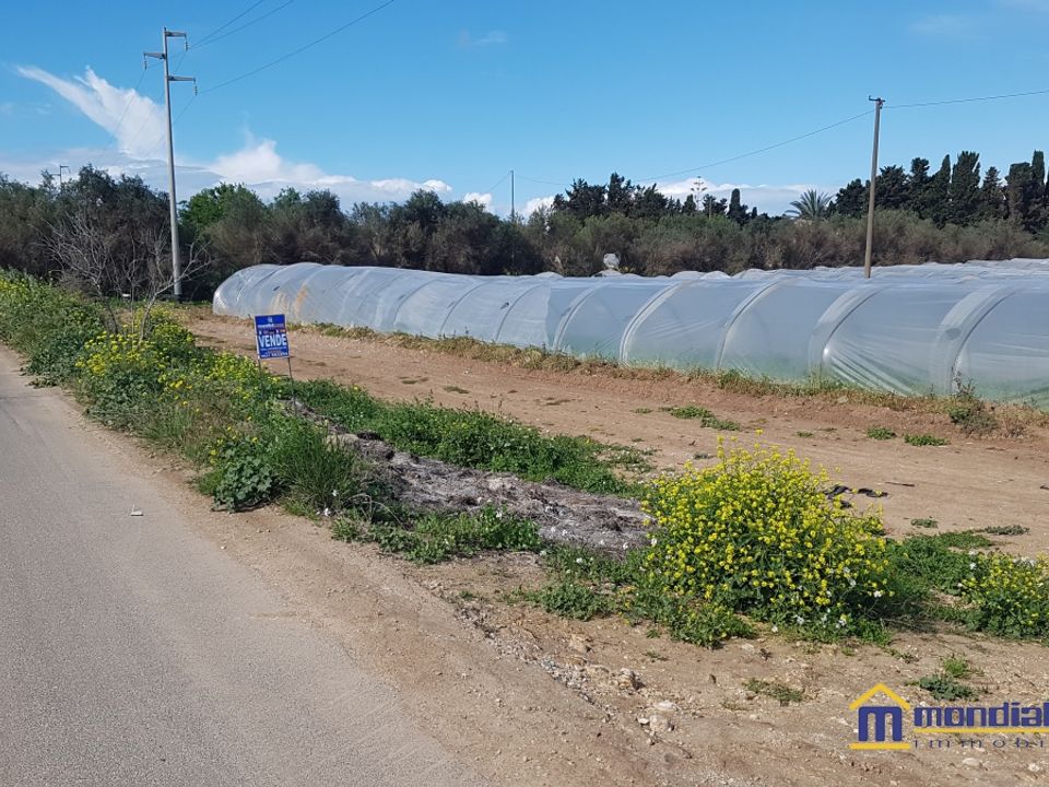 Helårsgrund i Noto, Siracusa - foto 3