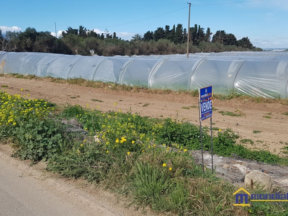 Helårsgrund i Noto, Siracusa - foto 5