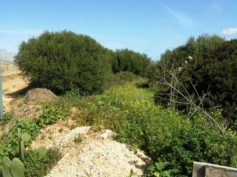 Helårsgrund i Portopalo di Capo Passero, Siracusa - foto 3