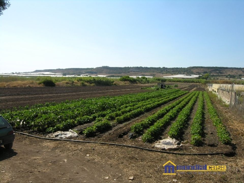 Helårsgrund i Pachino, Siracusa - foto 1