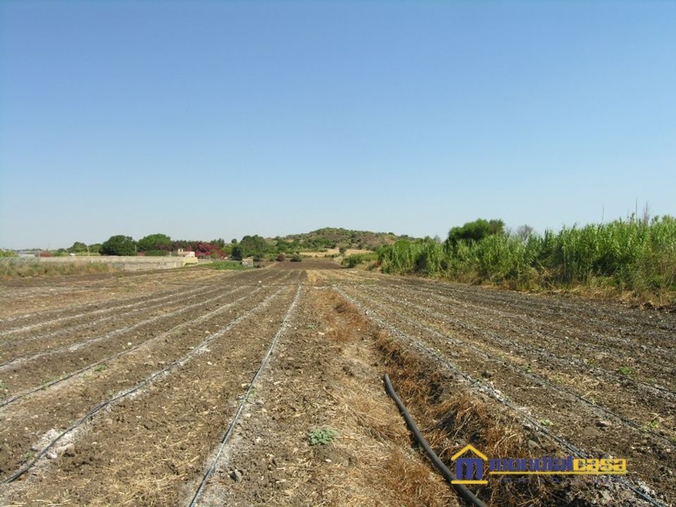 Helårsgrund i Pachino, Siracusa - foto 2