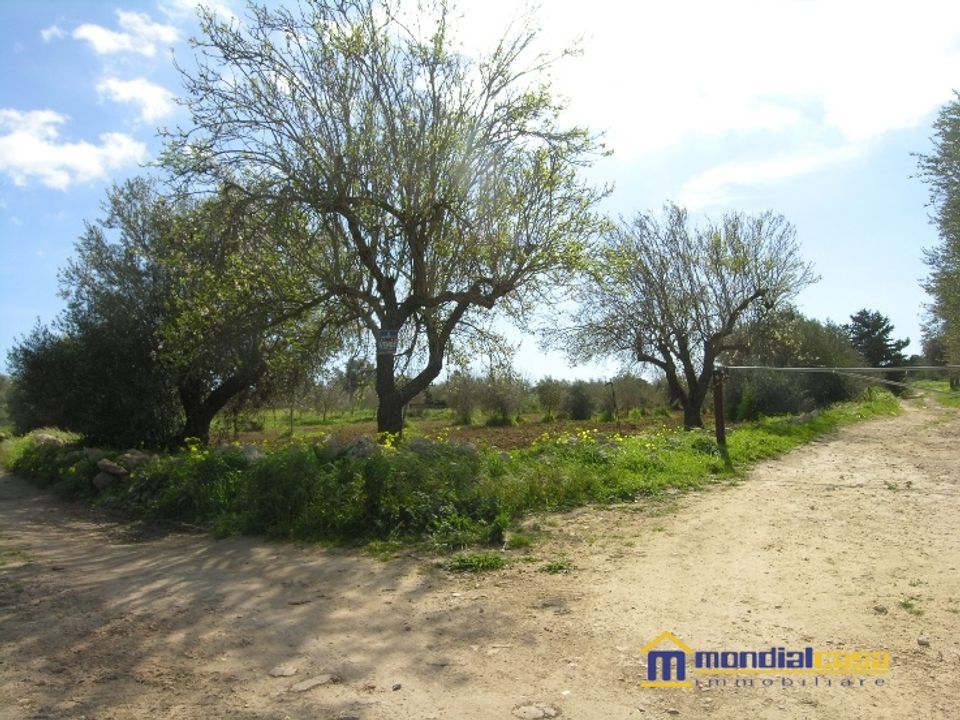 Helårsgrund i Pachino, Siracusa - foto 1